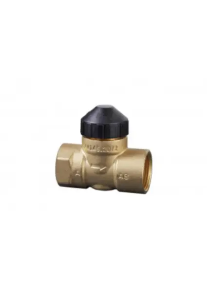 Siemens VVI46.15/2 DN15 Elektrikli Solenoid Valf